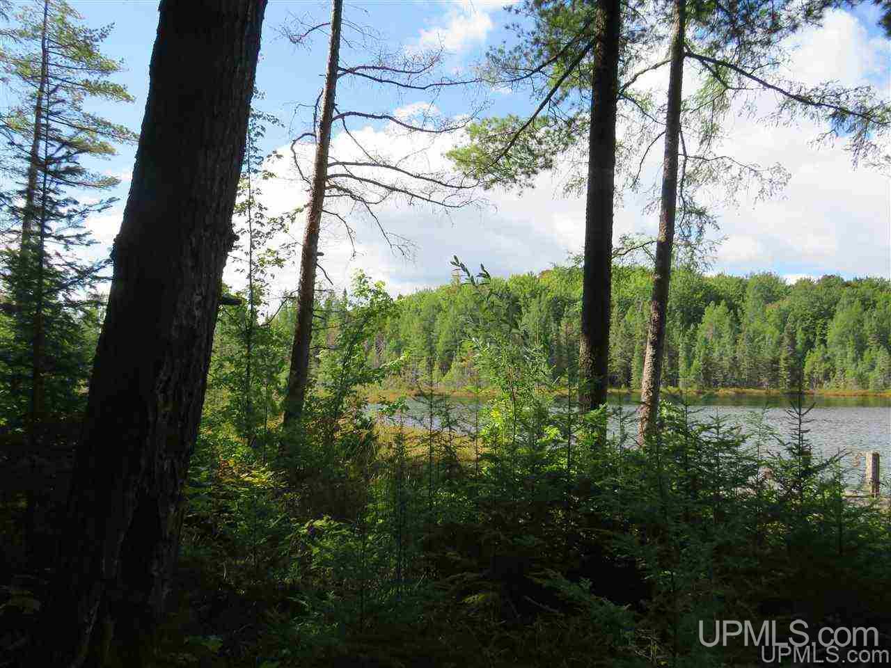 Tbd Off Lake On Three Road Trout Creek, MI 49967 - Photo 8 of 50