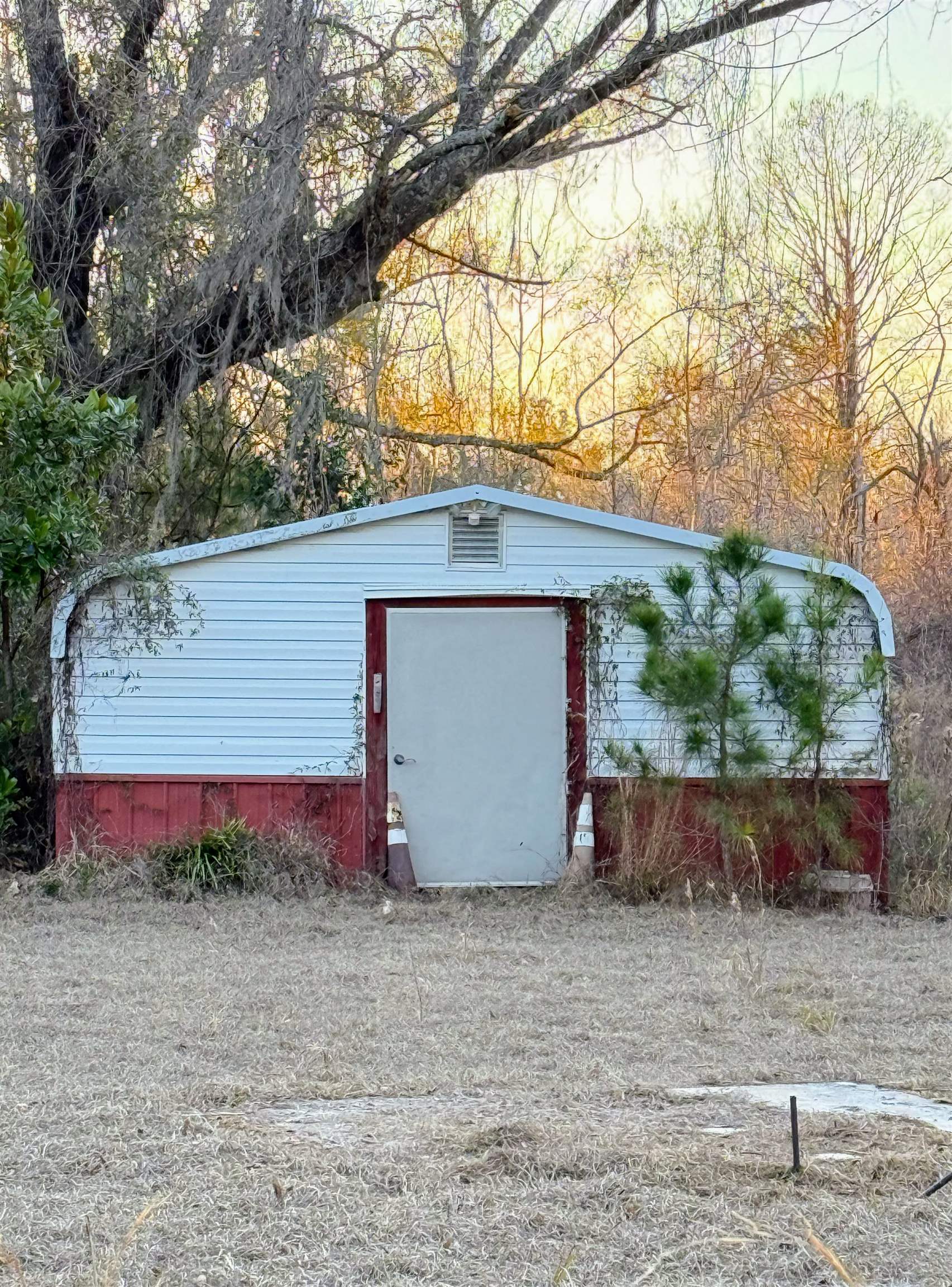 1660 Lyman Hendry Road Perry, FL 32347 - Photo 16 of 22