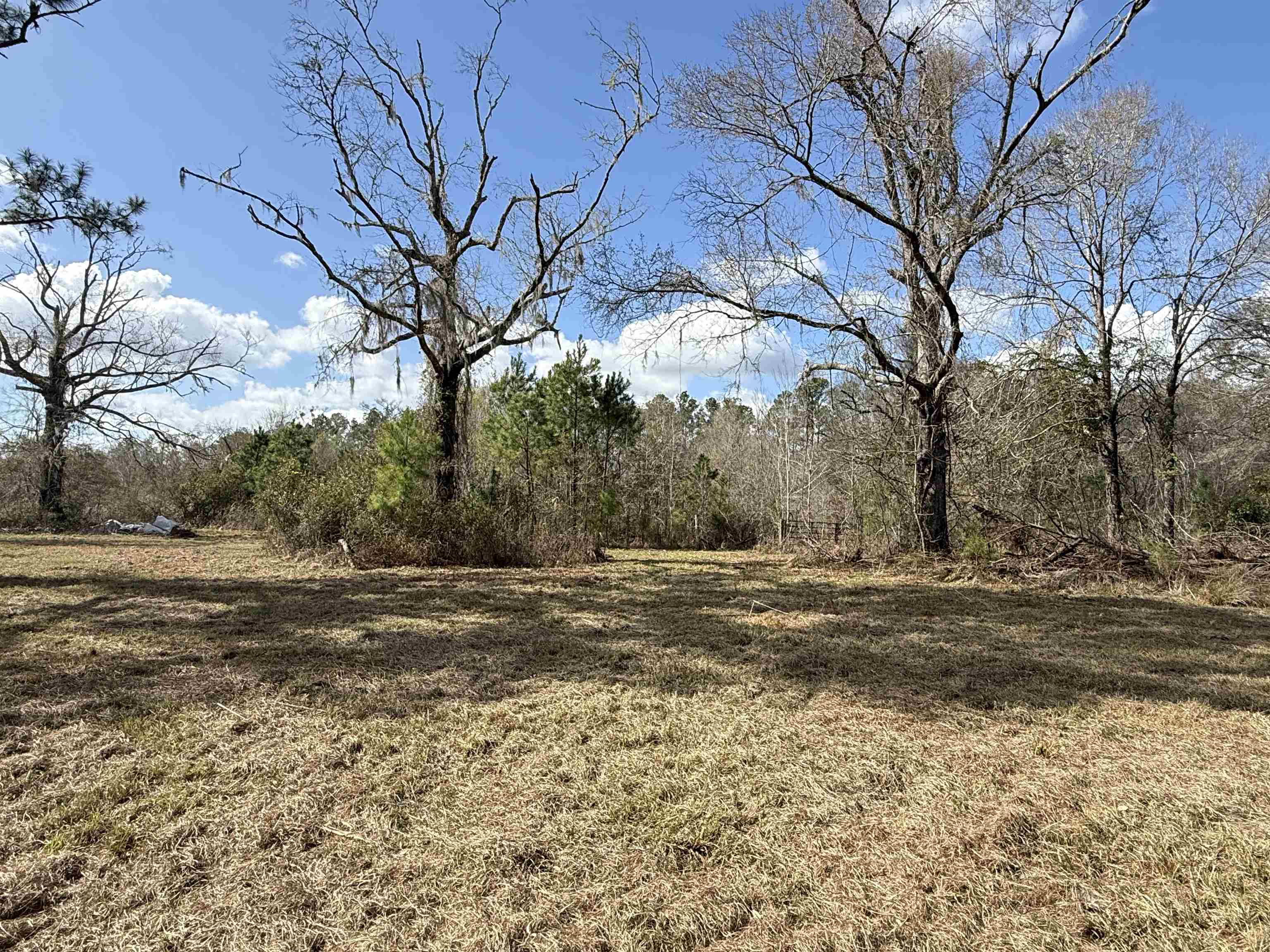 1660 Lyman Hendry Road Perry, FL 32347 - Photo 3 of 22