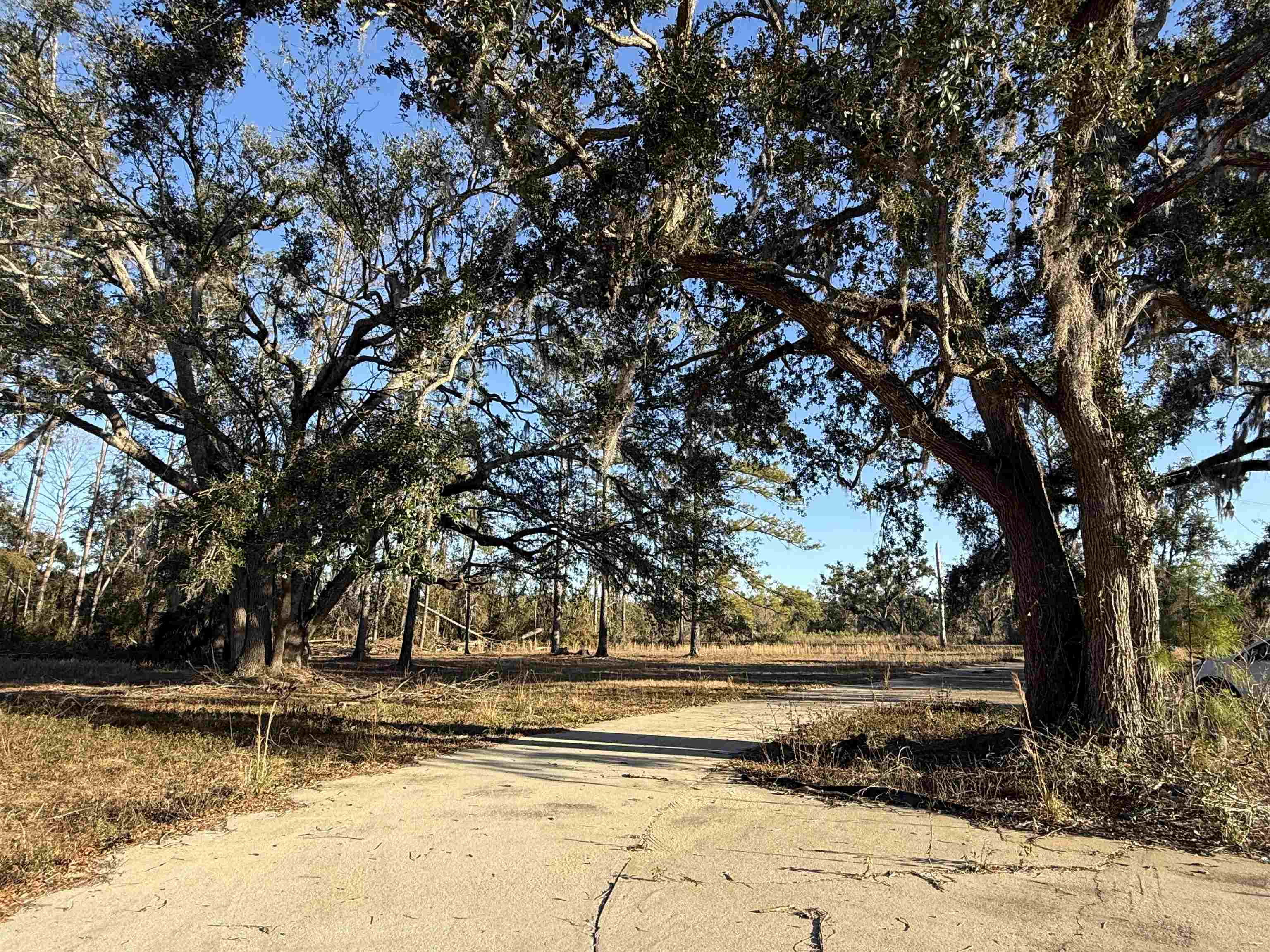 1660 Lyman Hendry Road Perry, FL 32347 - Photo 5 of 22