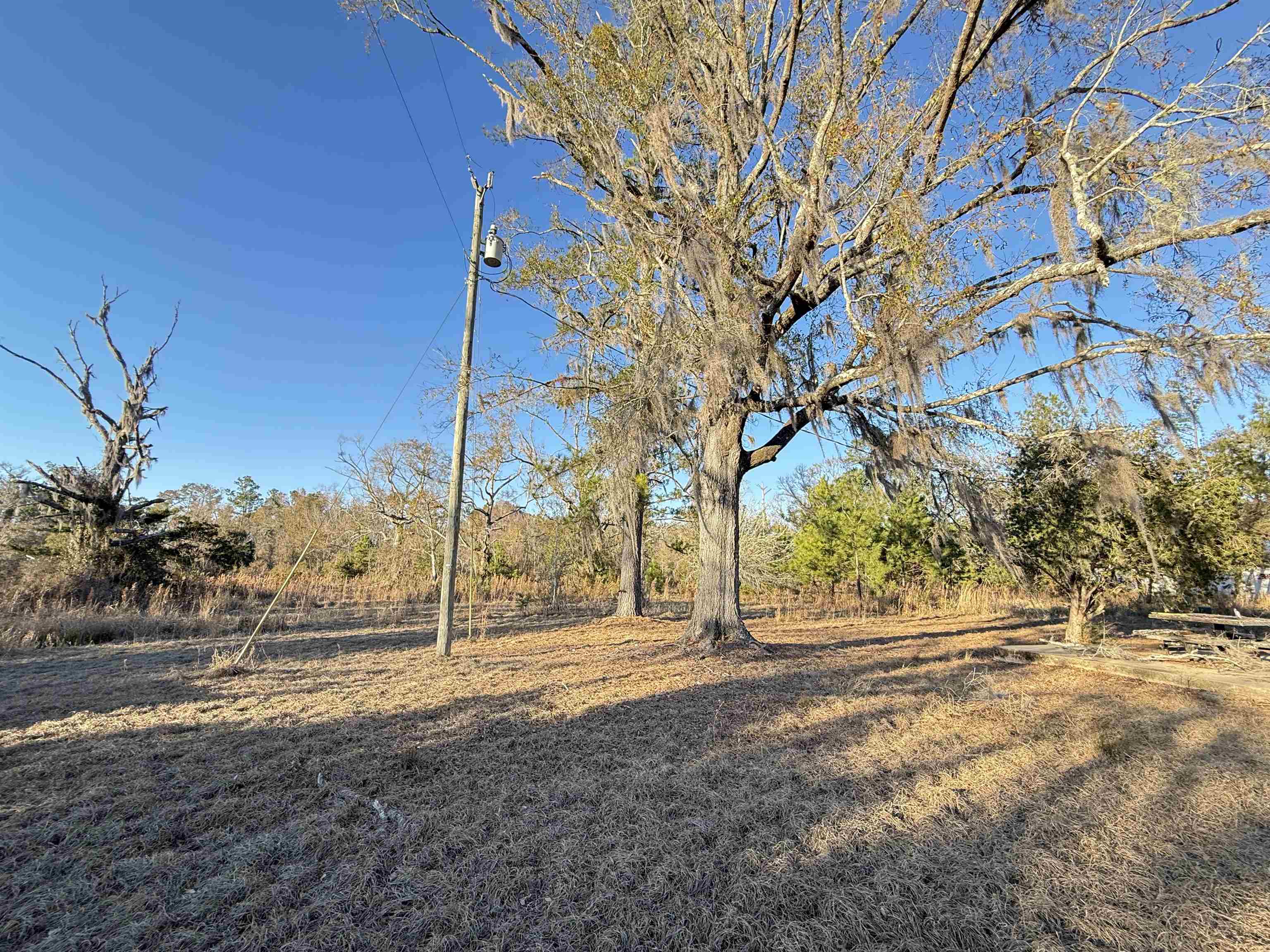 1660 Lyman Hendry Road Perry, FL 32347 - Photo 9 of 13