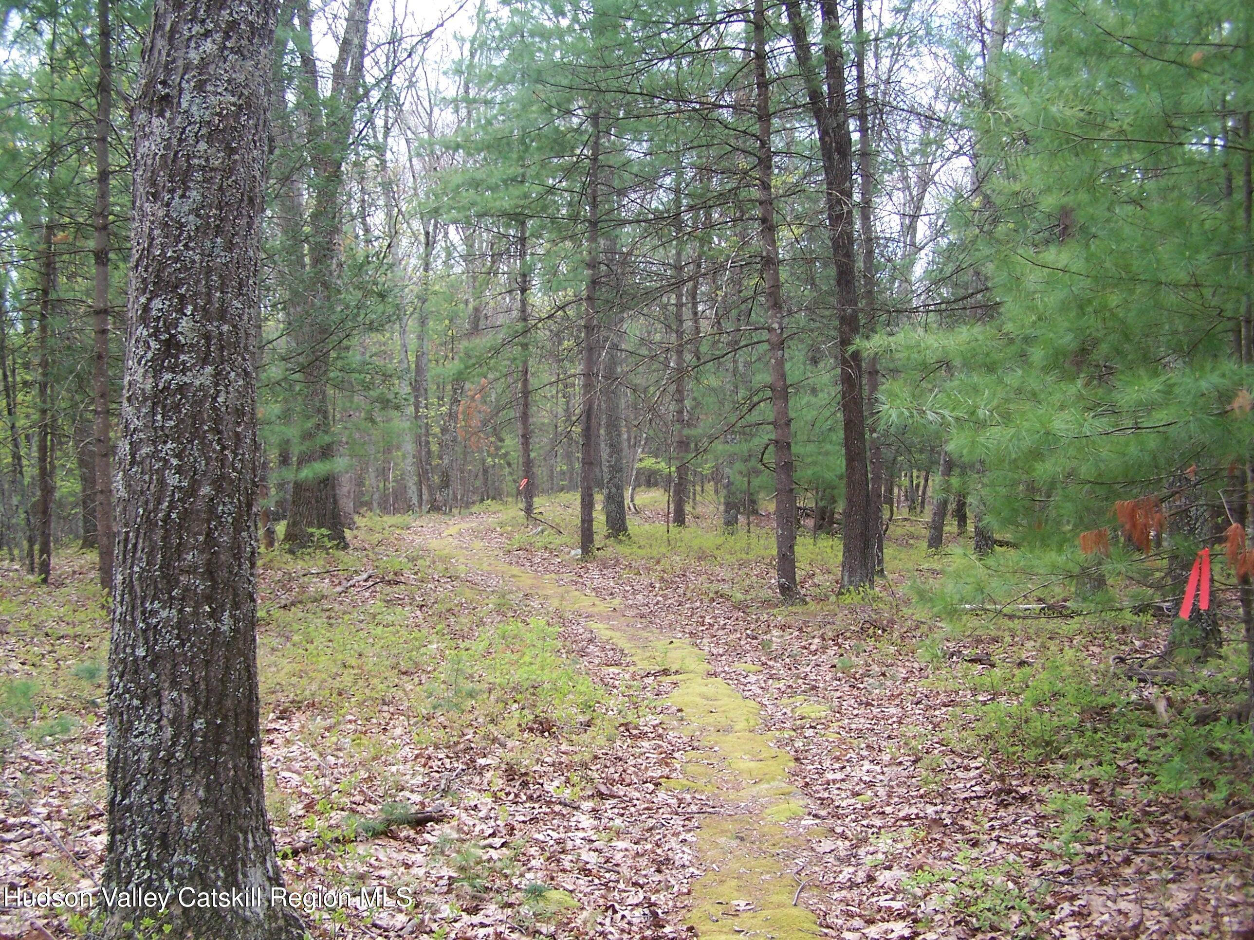 Tbd Heinle Road Kingston, NY 12401 - Photo 14 of 17 Beautiful Back Here