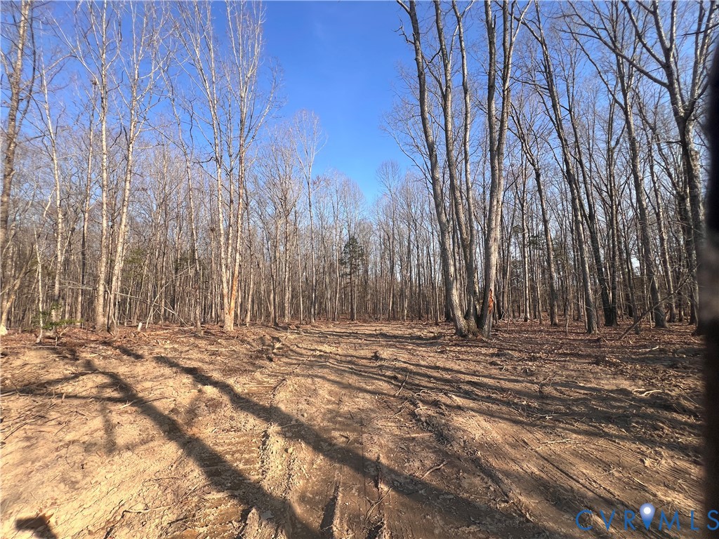 -a) Holman Mill Road Farmville, VA 23901 - Photo 5 of 8 a view of a backyard with trees