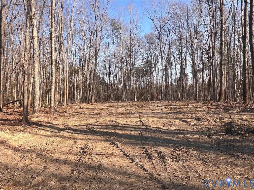 -a) Holman Mill Road Farmville, VA 23901 - Photo 6 of 8 a view of a yard with large trees