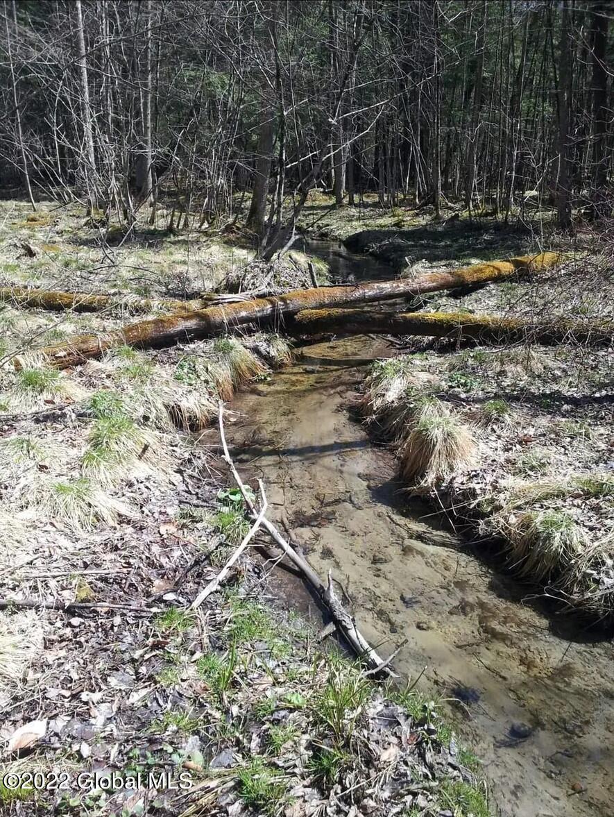 creek2