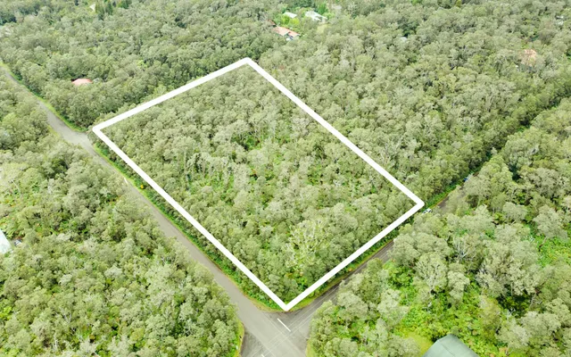 a view of a lush green field