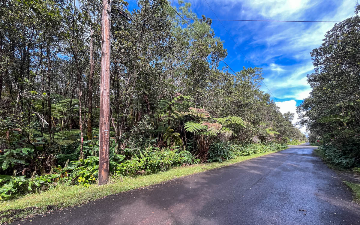 9702 Ruby Avenue Volcano, HI 96785 - Photo 11 of 13 a view of a forest with a tree