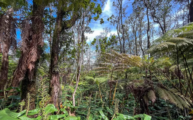 $425,000 | 9702 Ruby Avenue, Volcano, HI 96785