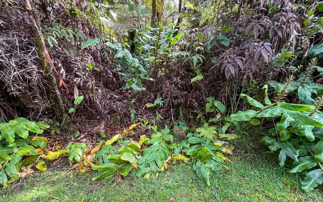 $425,000 | 9702 Ruby Avenue, Volcano, HI 96785