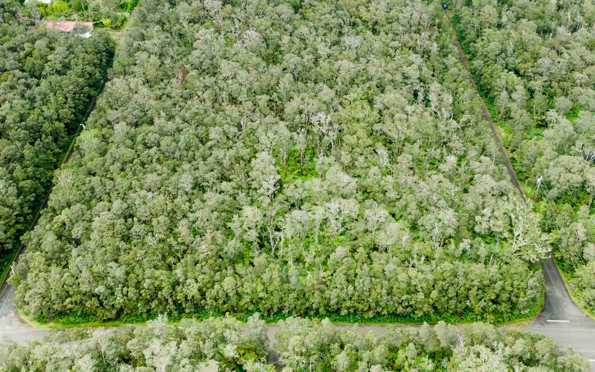 9702 Ruby Avenue Volcano, HI 96785 - Photo 2 of 13 a view of a lush green field