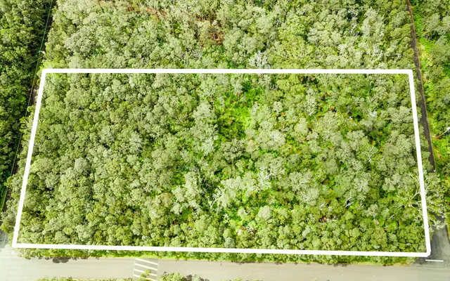 a view of a green field with lots of bushes