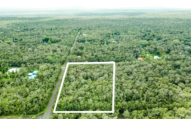 a view of a green field with lots of bushes