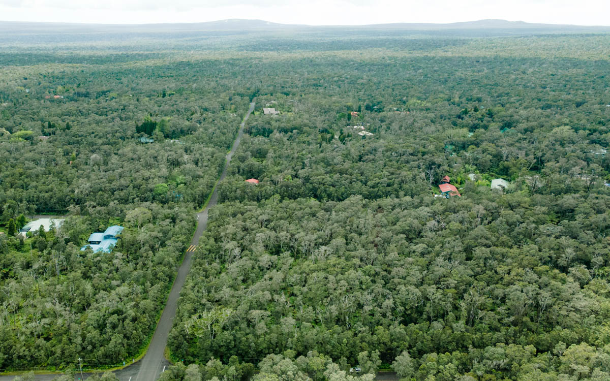 9702 Ruby Avenue Volcano, HI 96785 - Photo 5 of 13 a view of a green field with lots of bushes