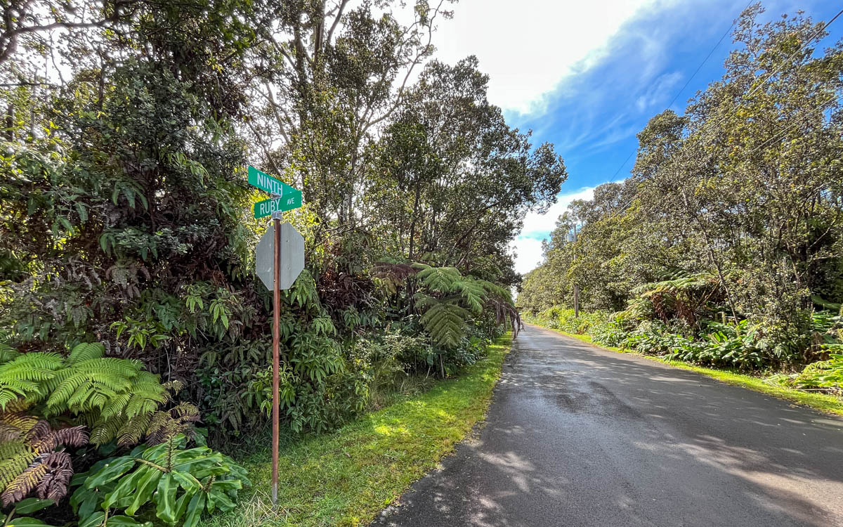 9702 Ruby Avenue Volcano, HI 96785 - Photo 6 of 13 a view of a park with plants and trees