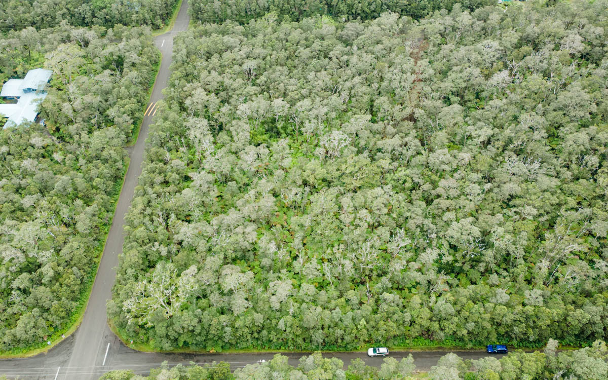 9702 Ruby Avenue Volcano, HI 96785 - Photo 7 of 13 a view of a forest with a bench