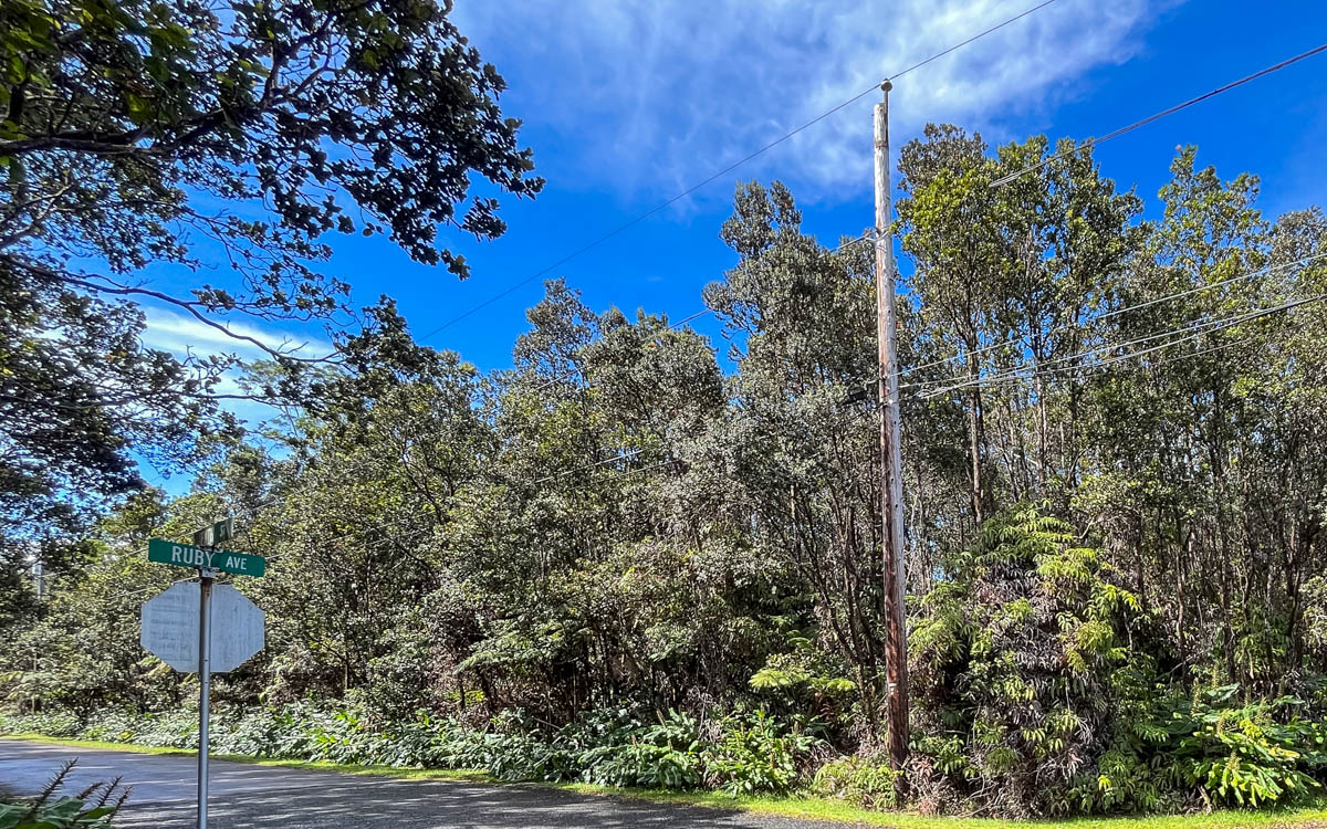 9702 Ruby Avenue Volcano, HI 96785 - Photo 10 of 13 a view of a yard