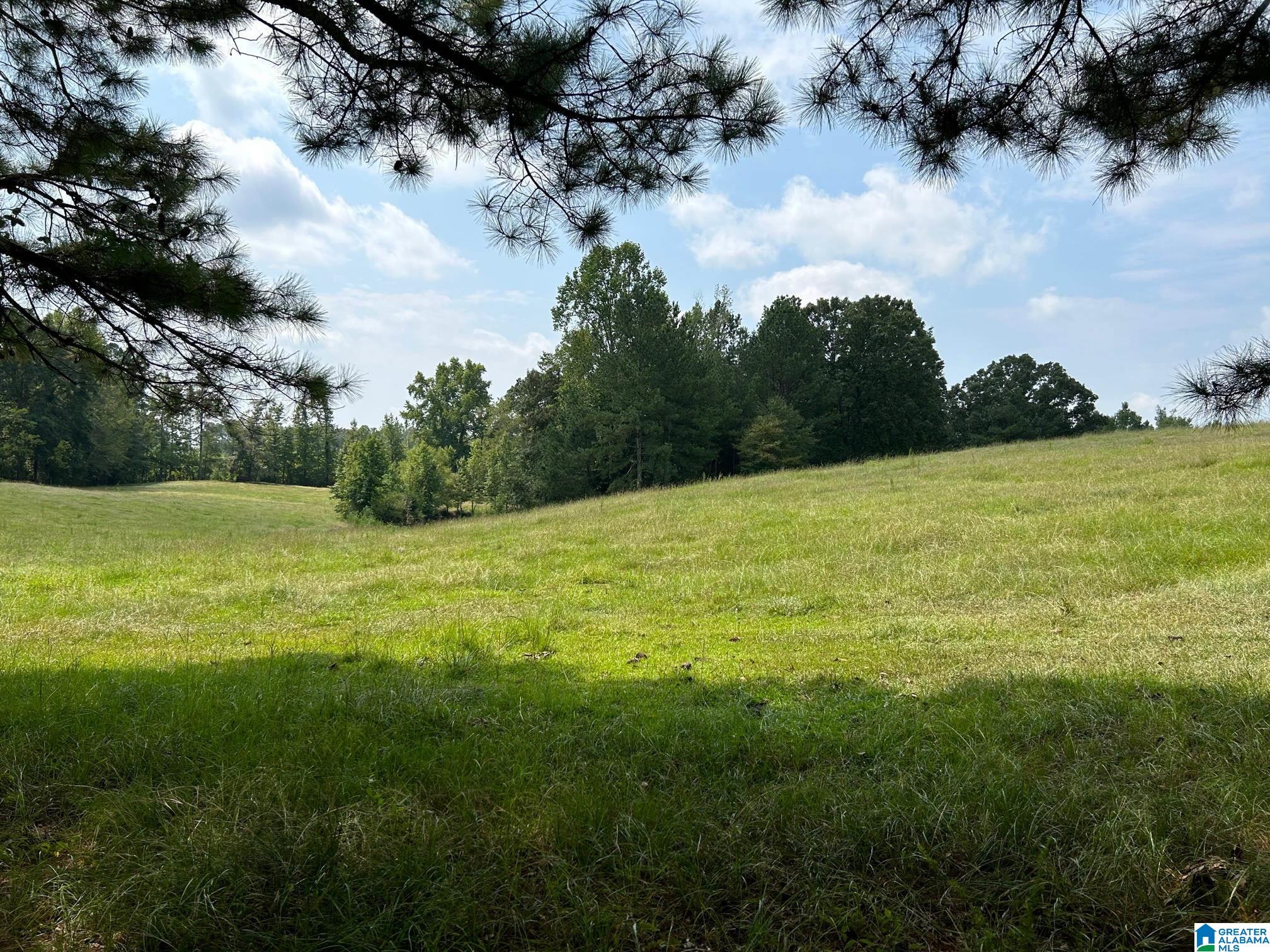 3300 Floyd Road Wellington, AL 36279 - Photo 6 of 11