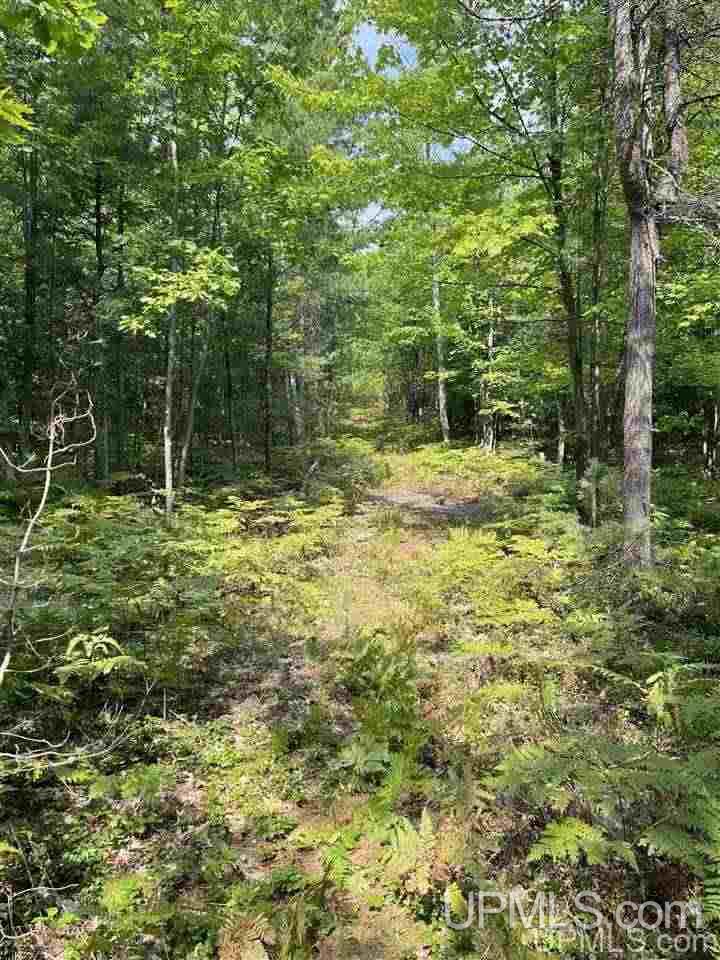 Tbd Timber Creek Road Marquette, MI 49855 - Photo 10 of 14
