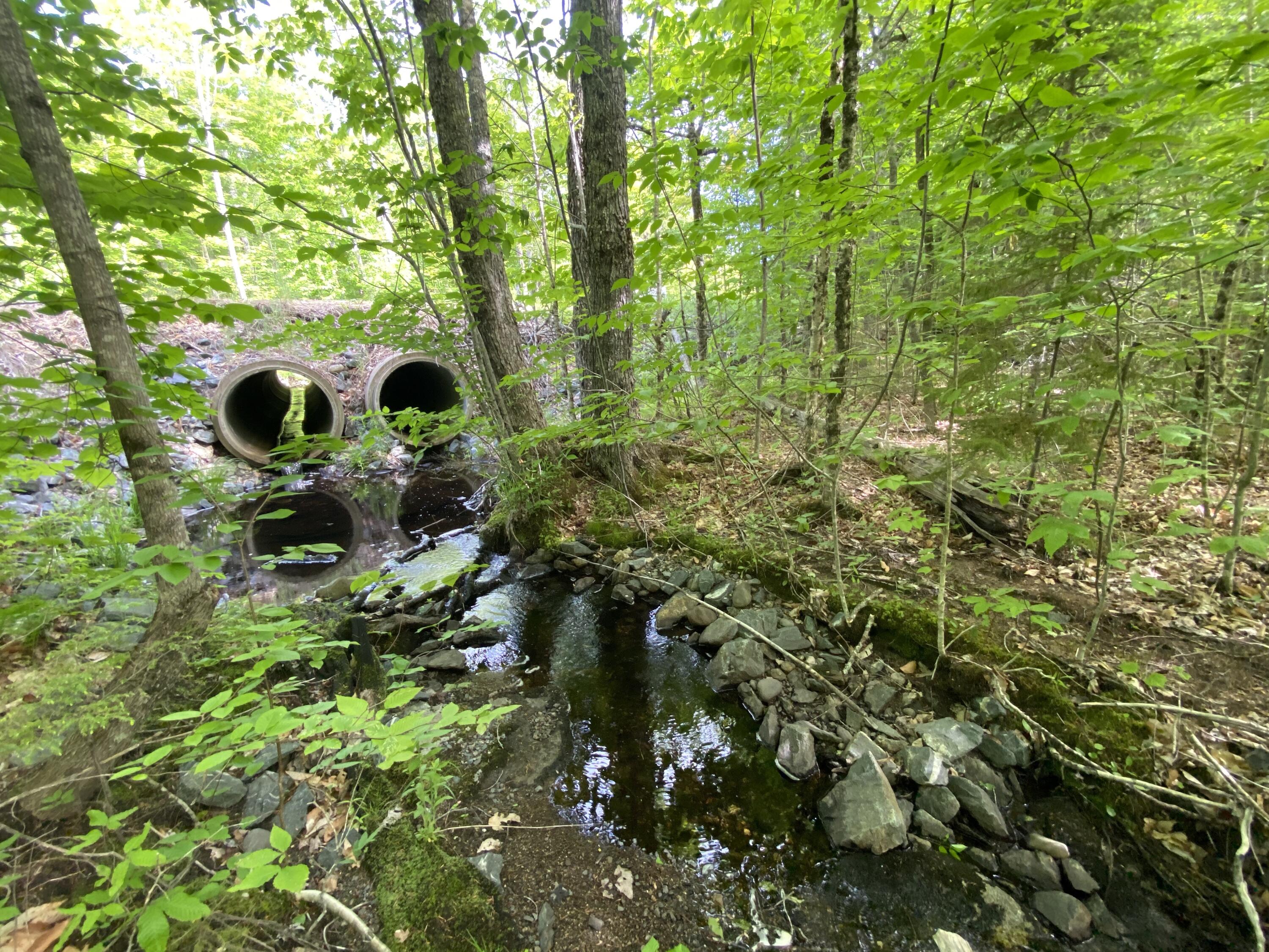 29 Winkumpaugh Road Ellsworth, ME 04605 - Photo 2 of 6 lot 29 culvert