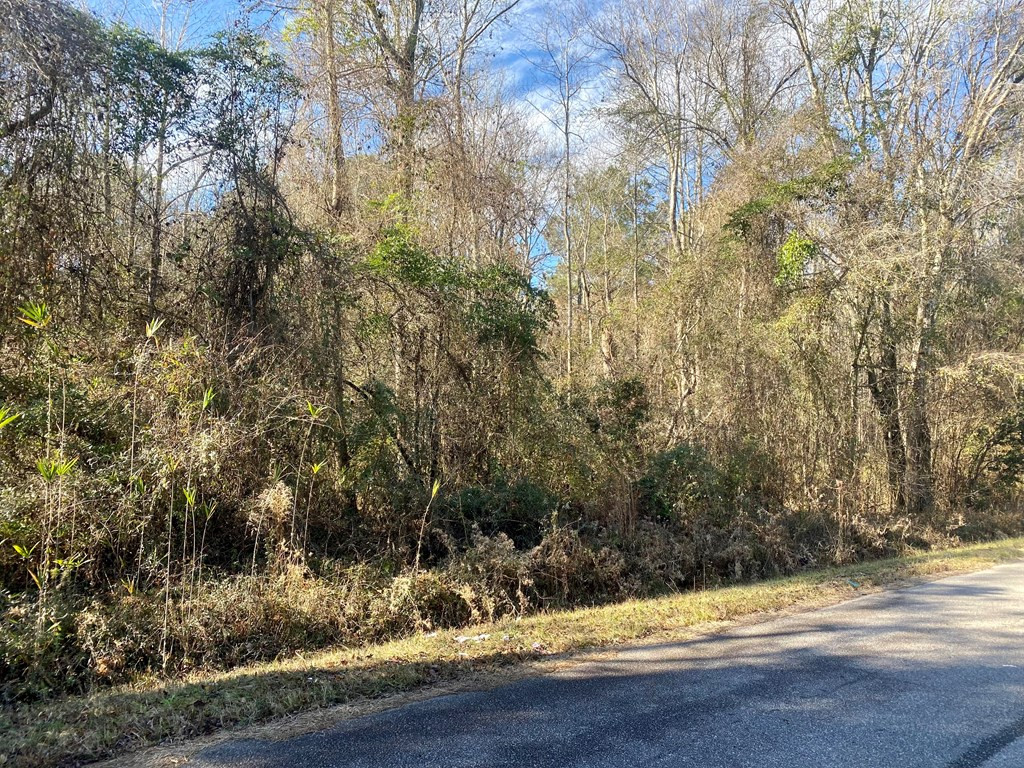 0 Project Road Bowman, SC 29018 - Photo 2 of 2 Photo 2