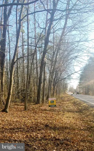 a view of yard with trees