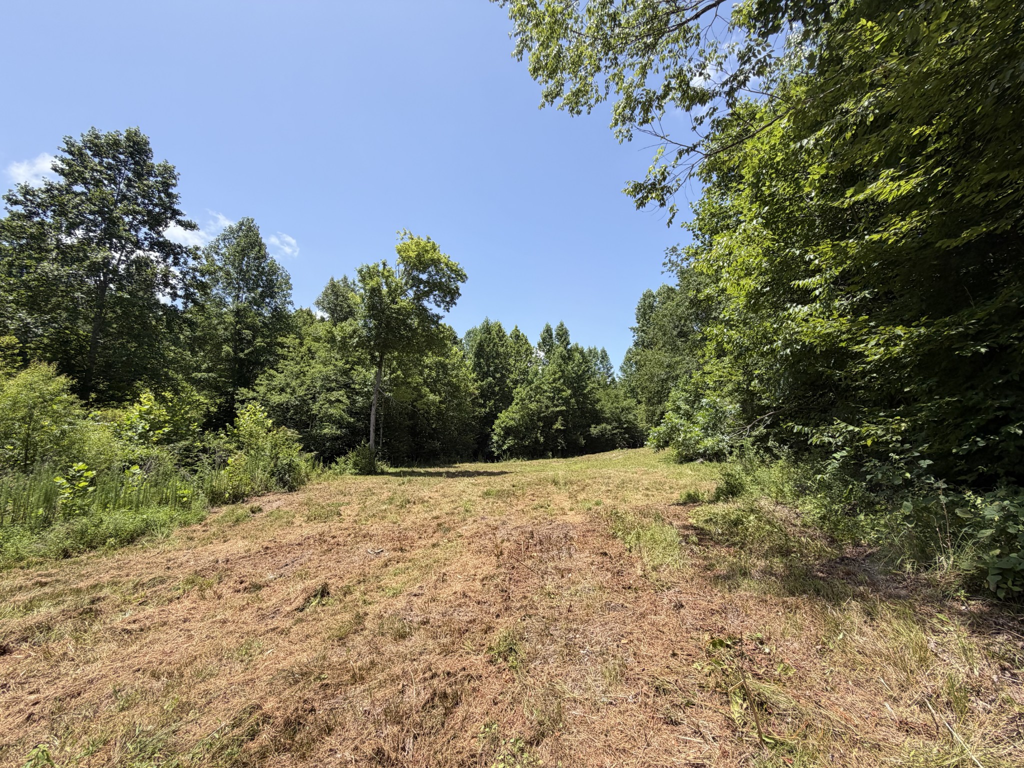 215 Bar Bee Road Hohenwald, TN 38462 - Photo 21 of 51