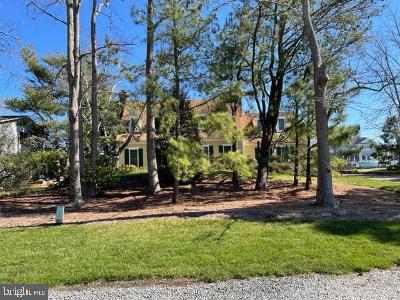 135 Kingsbridge Road Rehoboth Beach, DE 19971 - Photo 11 of 63 secluded lot