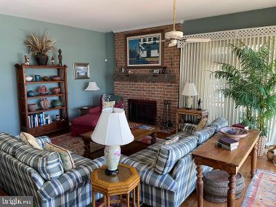 135 Kingsbridge Road Rehoboth Beach, DE 19971 - Photo 15 of 63 Living room w/fireplace and views