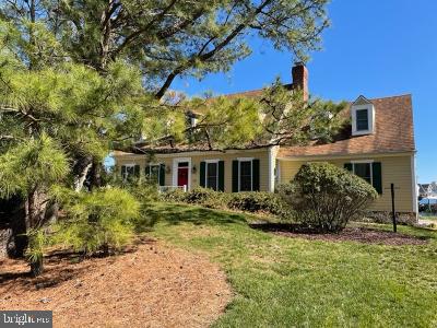 135 Kingsbridge Road Rehoboth Beach, DE 19971 - Photo 3 of 63 Beautiful!
