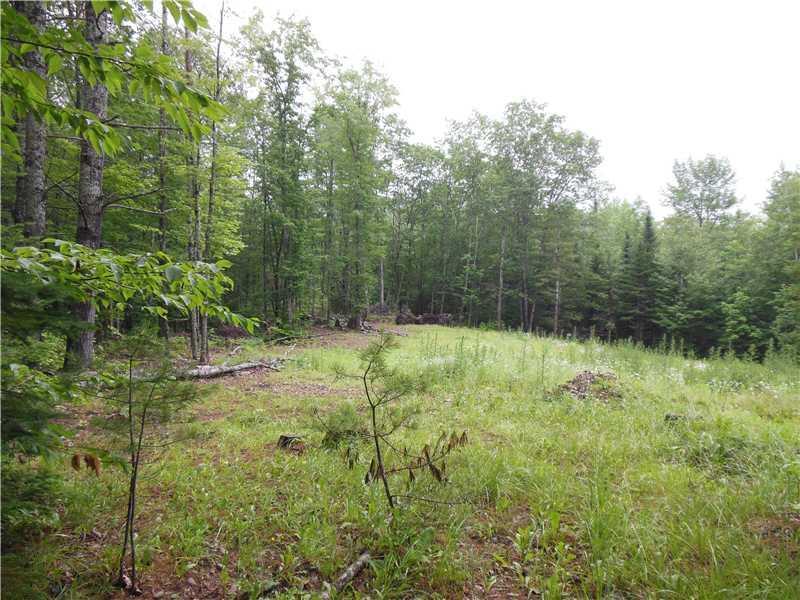 L17 Lakins Road Stetson, ME 04488 - Photo 5 of 6 Land/Lot.