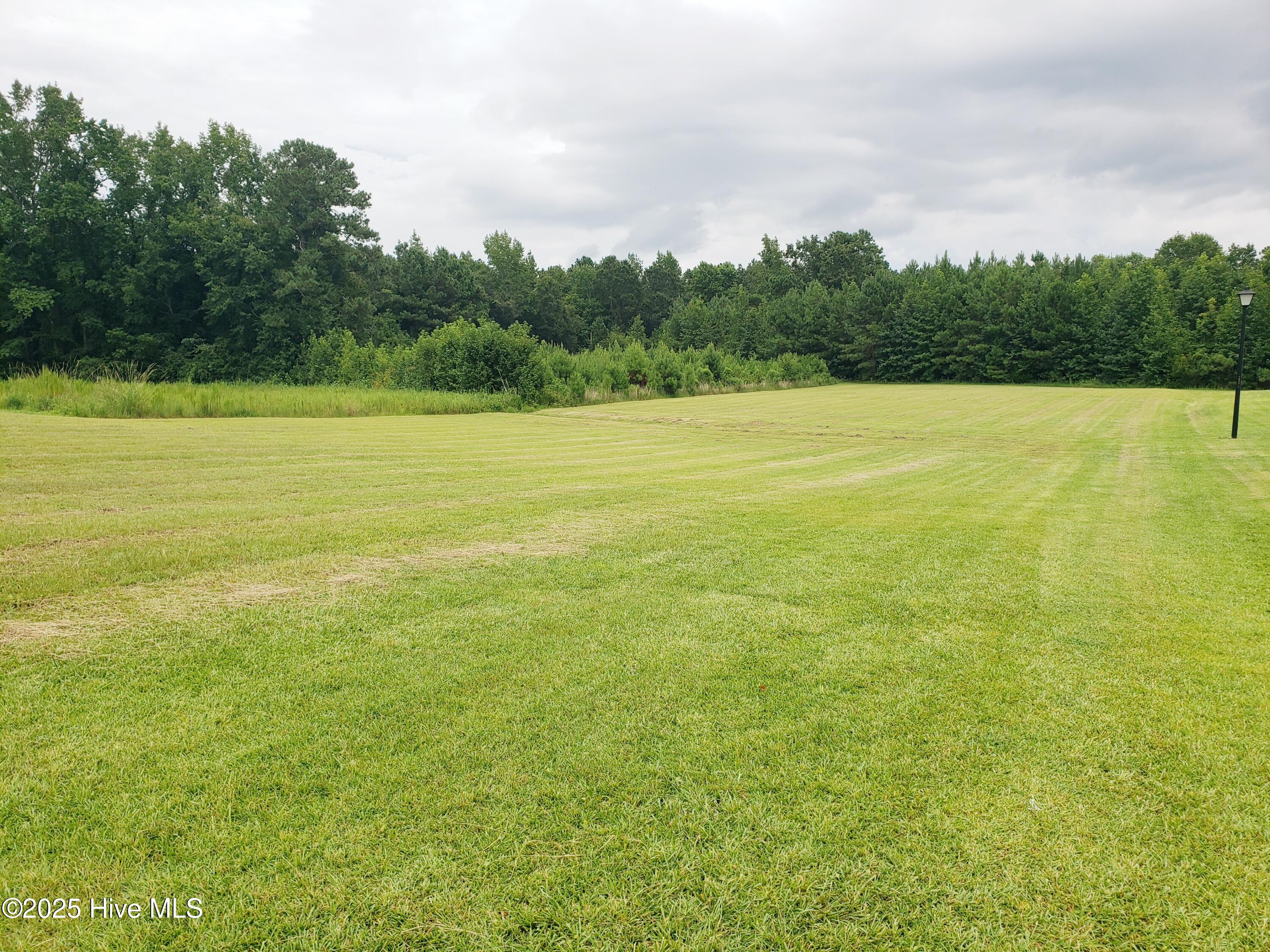 11061 Peacock Road Chadbourn, NC 28431 - Photo 25 of 25 add'l adjoining lot also available