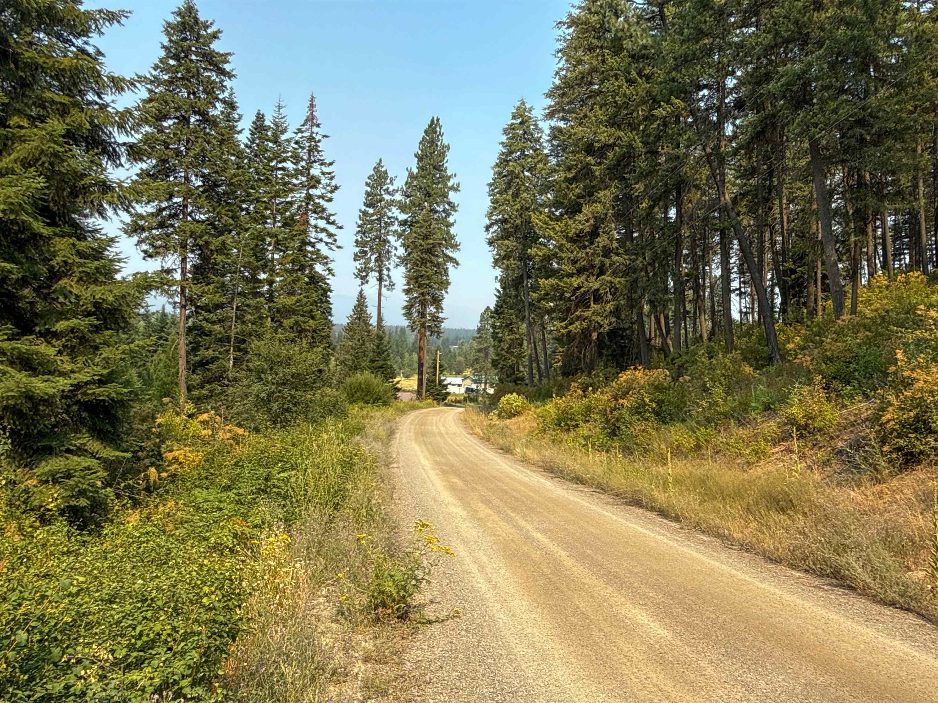 Nka Berry Road Usk, WA 99180 - Photo 13 of 32 Gallery Image 13