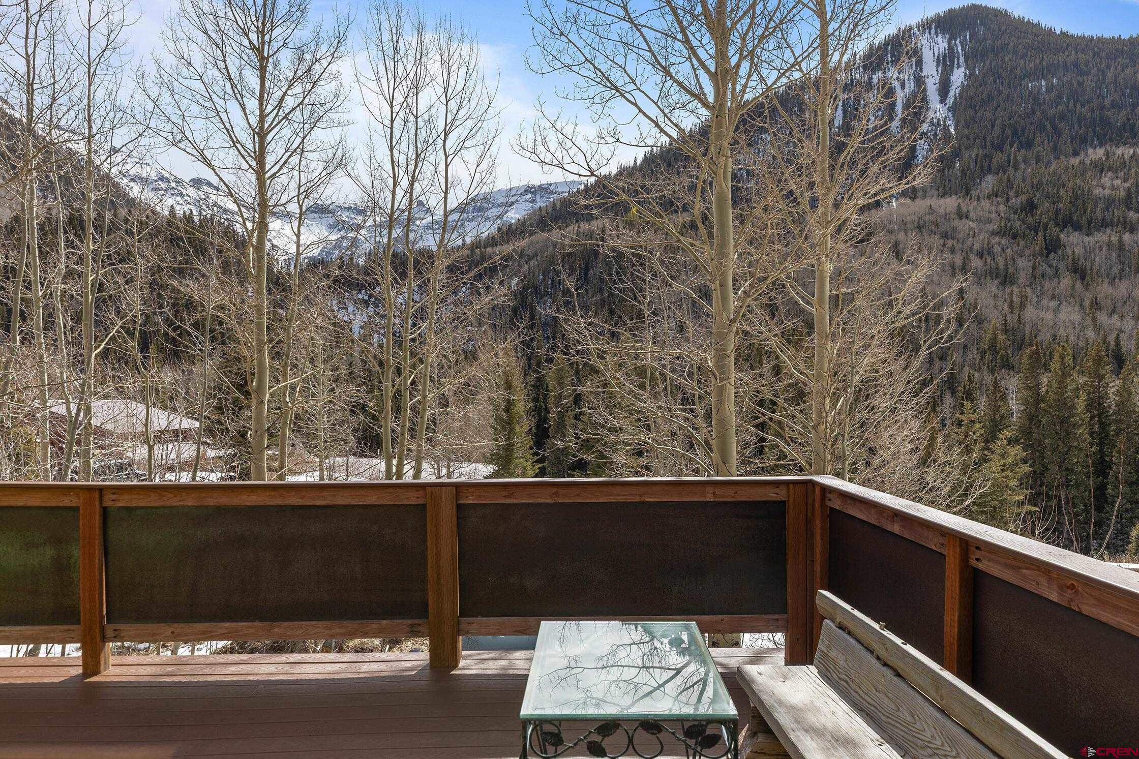 35 Porphyry Street Ophir, CO 81426 - Photo 33 of 40