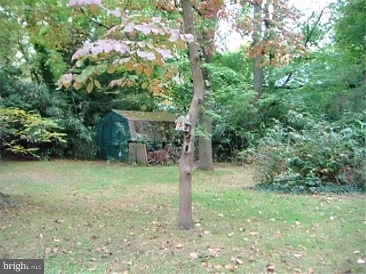 110 North Cove Road Merchantville, NJ 08109 - Photo 20 of 23 Back Yard