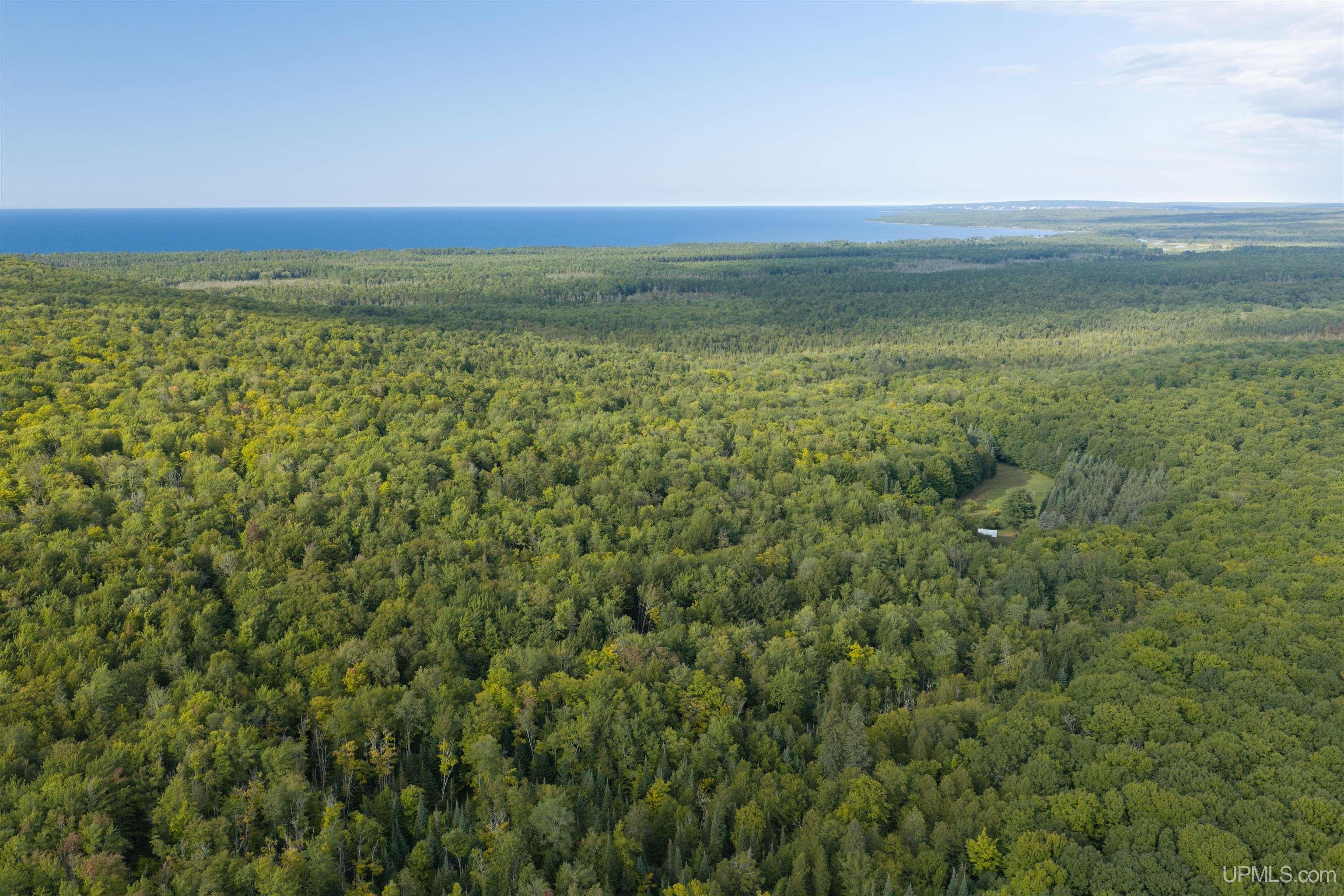 40 Acres Martin Road Au Train, MI 49806 - Photo 3 of 13 Gallery Image 3