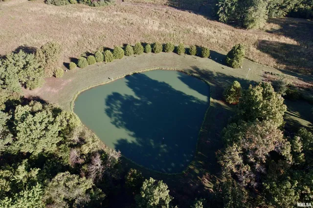a view of a yard in a field