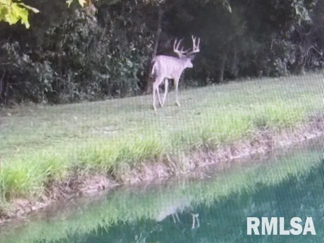 $390,000 | 4490 Brushy Creek Church Road, Galatia, IL 62935