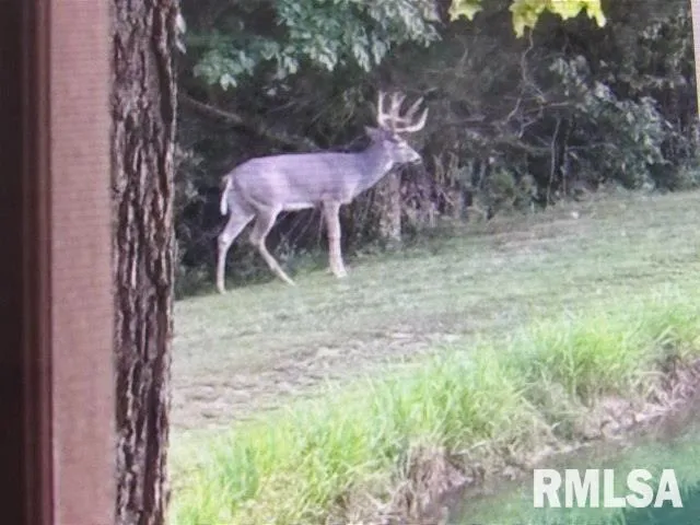 $390,000 | 4490 Brushy Creek Church Road, Galatia, IL 62935