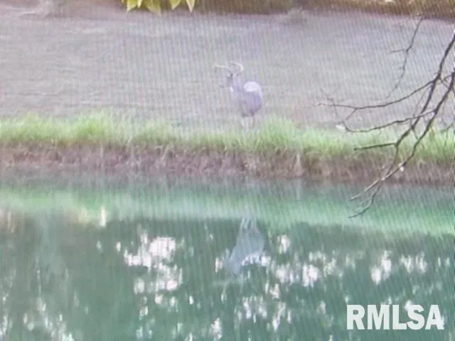 $390,000 | 4490 Brushy Creek Church Road, Galatia, IL 62935