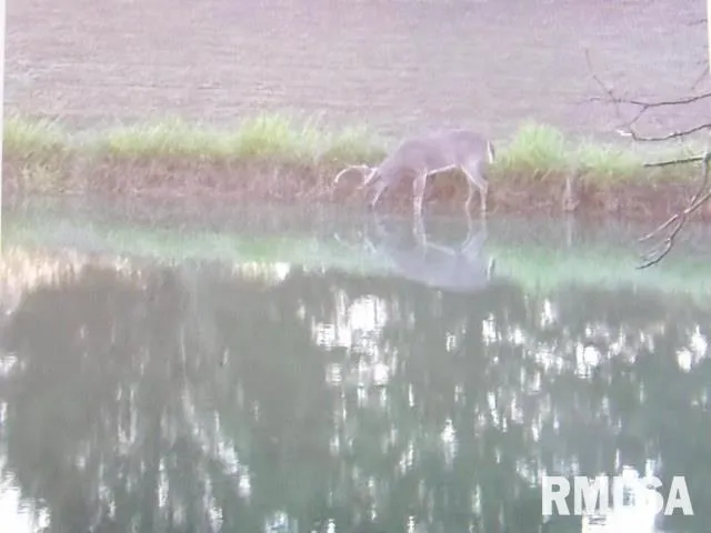 $390,000 | 4490 Brushy Creek Church Road, Galatia, IL 62935