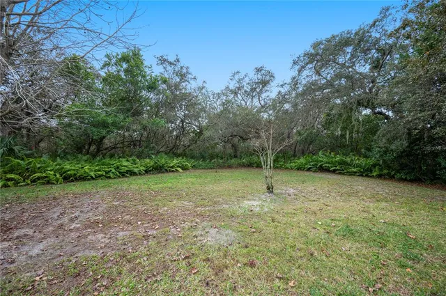 a view of outdoor space with deck and yard