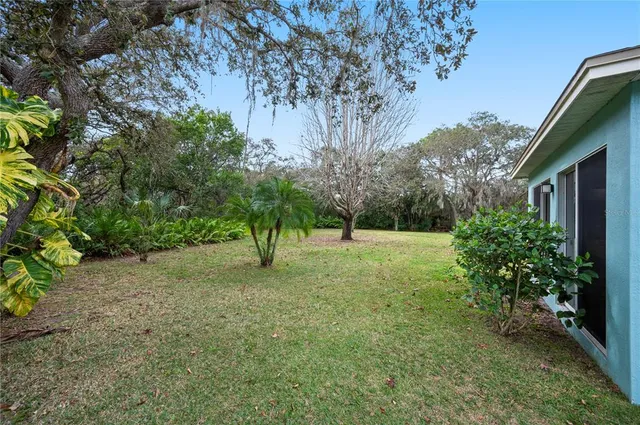 a view of a yard with a tree