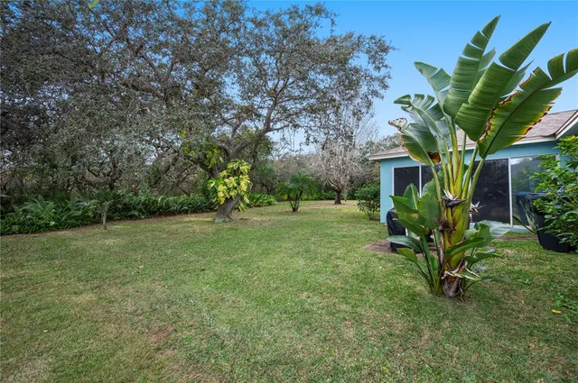 a view of a garden with a tree