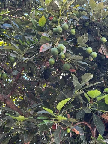 $650,000 | 11864 Hayford Street, Norwalk, CA 90650