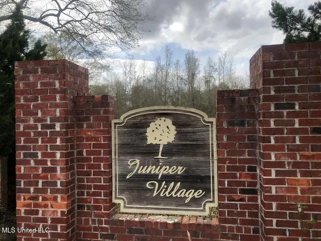 $15,500 | No Theodore Drive, Poplarville, MS 39470