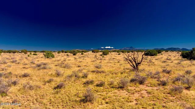 $12,650 | 3160 Laurence Drive, Williams, AZ 86046