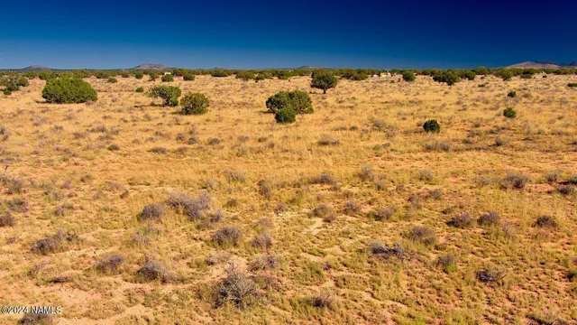 $12,650 | 3160 Laurence Drive, Williams, AZ 86046