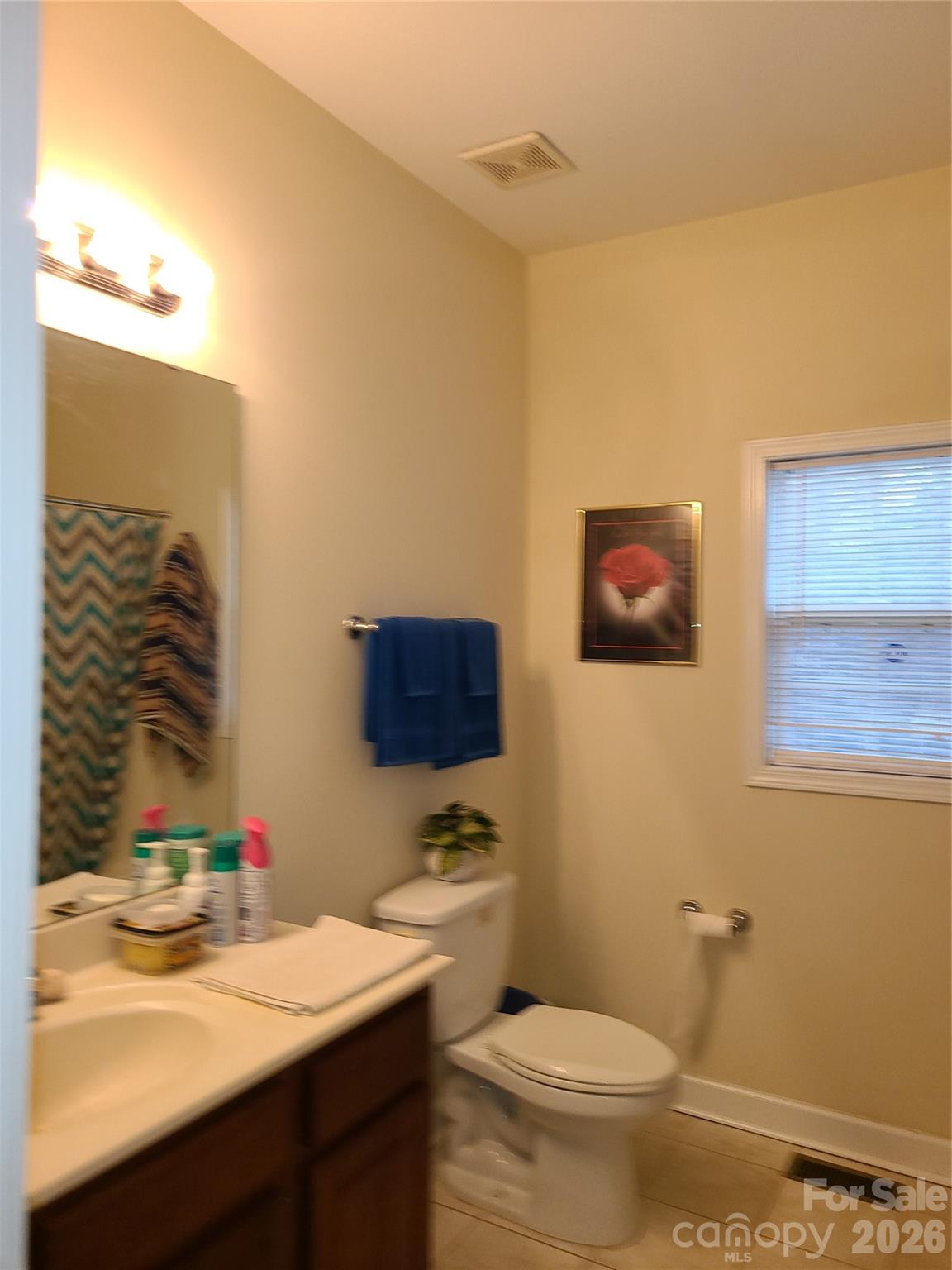 1638 Bess Town Road Bessemer City, NC 28016 - Photo 24 of 31 a bathroom with a sink mirror vanity and toilet
