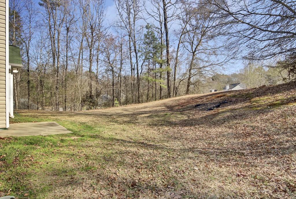 40 Elisabeth Way Grantville, GA 30220 - Photo 25 of 25