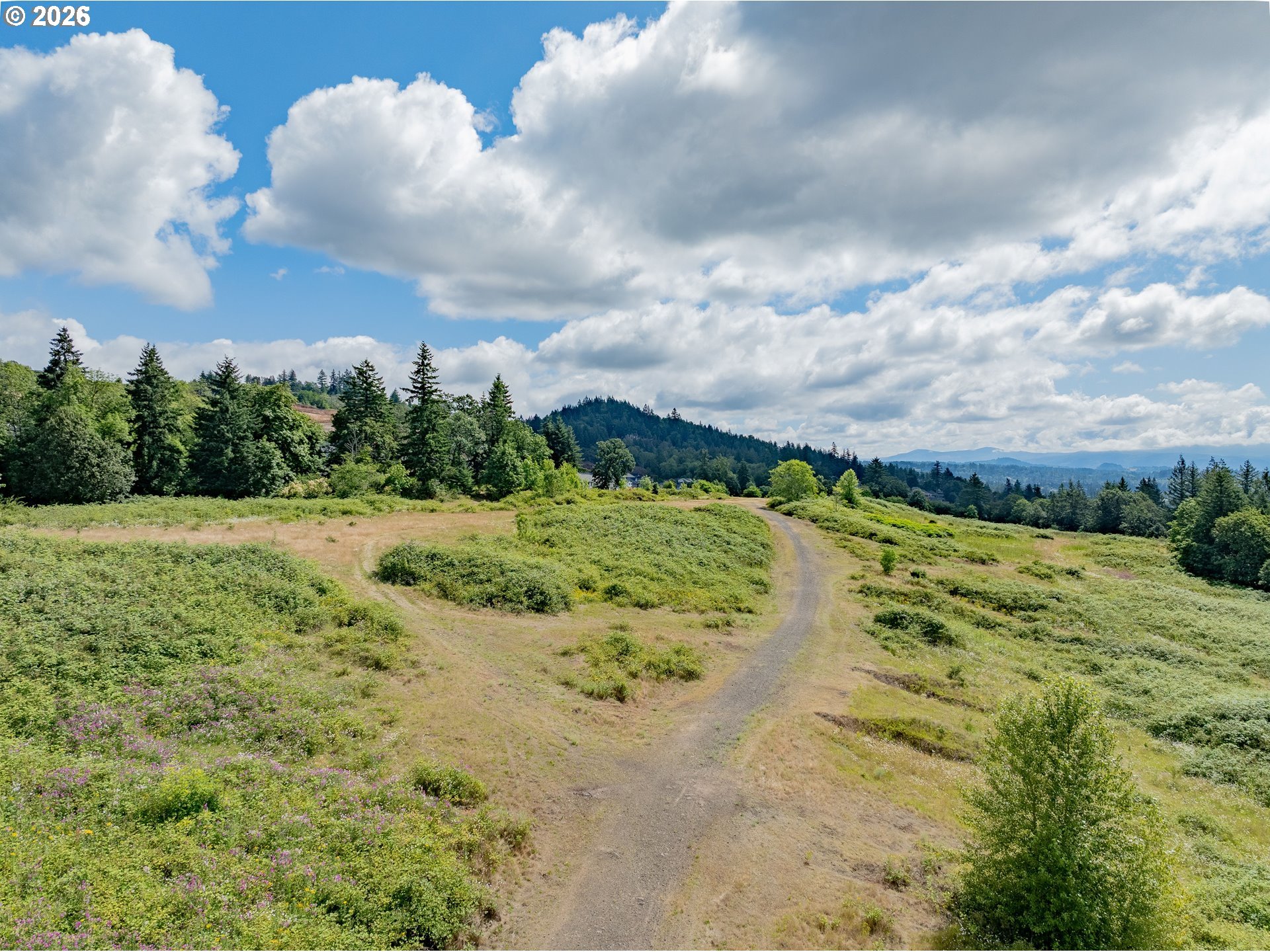 Leburn Road Washougal, WA 98671 - Photo 5 of 29 a view of a lake with beach